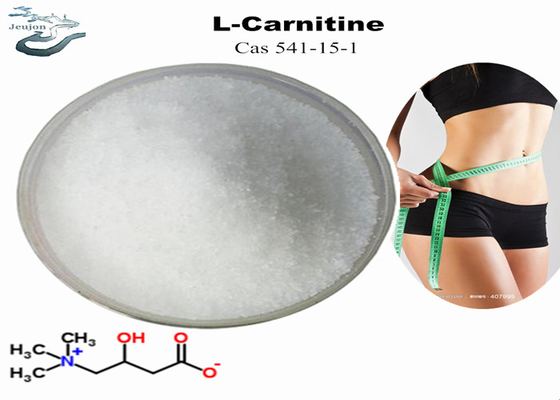 Cosmetici Materie prime R L Carnitina in polvere Per la perdita di peso CAS 541-15-1 Polvere bruciatrice di grasso per la pancia