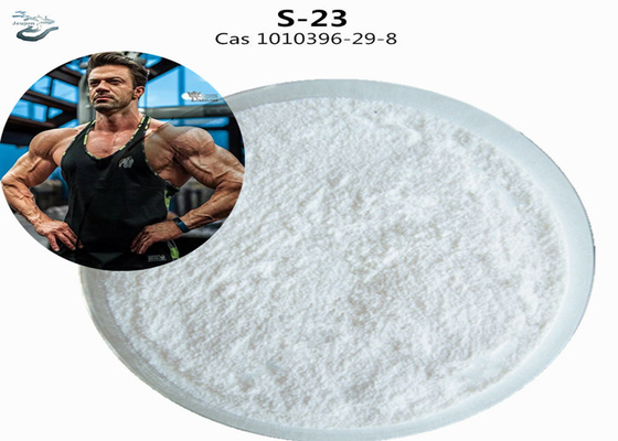 HPLC S23 Gym Powder CAS 1010396-29-8 Sarm S-23 Supplemento per la costruzione muscolare