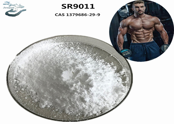 Gym Powder Sarm Supplement Bodybuilding SR9011 CAS 1379686-29-9 Per la costruzione muscolare