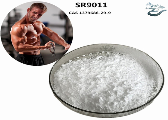 SR9011 Sarms Fat Burning Gym Powder CAS 1379686-29-9 Supplemento di bodybuilding