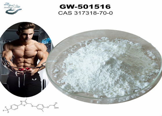 Culturismo della polvere della palestra di GW 501516 GSK-516 Sarms CAS 317318-70-0