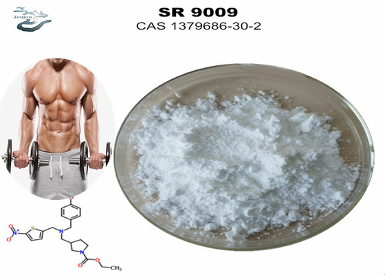 Gym Powder Sarms integratore di allenamento Stenaboli SR-9009 Pre allenamento CAS 1379686-30-2