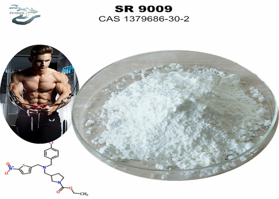 Polvere di palestra CAS 1379686-30-2 SR9009 Stenabolica Sarm SR-9009 Supplemento Stenabolica Bodybuilding