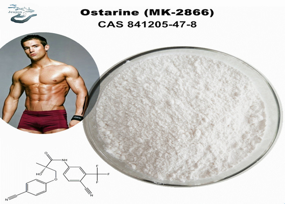 Ostarine Enobosarm MK 2866 Sarms Polvere Per Guadagnare Massa Muscolare Polvere Gym