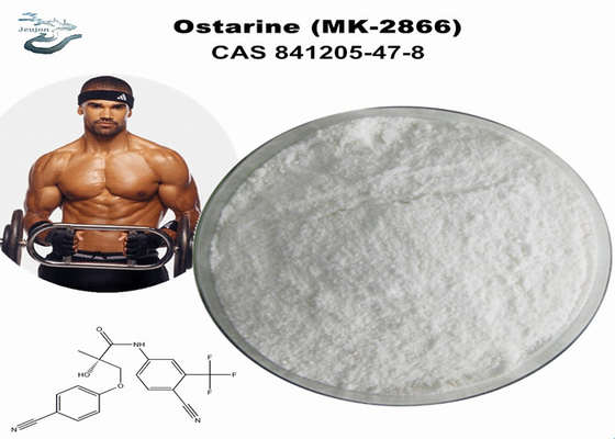 Polvere di ginnastica CAS 841205-47-8 Sarm grezzo Enobosarm Mk 2866 Ostarine Enobosarm Per perdita di peso