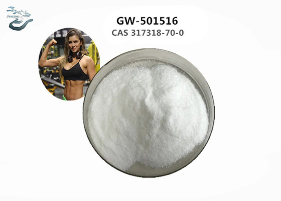 Cardarine Gym Powder CAS 317318-70-0 Sarm GW-501516 Per la crescita muscolare